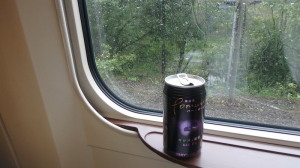 写真は行き違い列車待避のため信号場に停まる列車から見た雨の車窓）