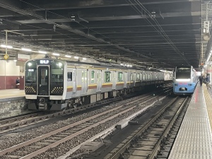 写真は日光線の電車と特急常磐日光号