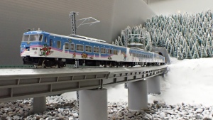写真はパーミルレイアウトの国鉄線を走る185系フルフル